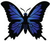 ACourseinMiraclesProducts.com